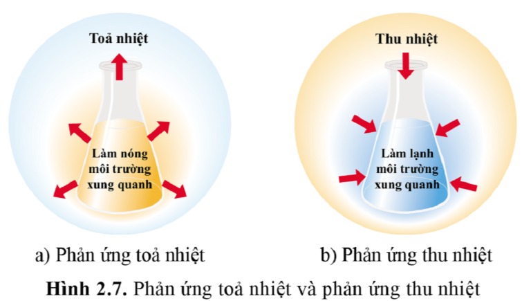 Phân biệt phản ứng tỏa nhiệt và phản ứng thu nhiệt